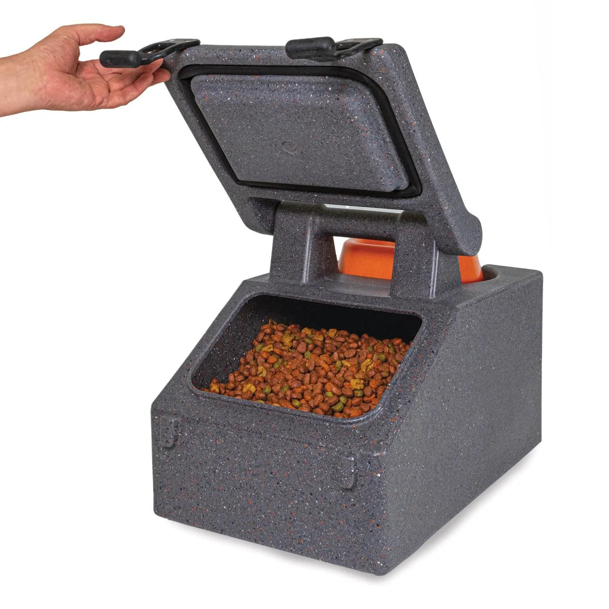 Chow Box