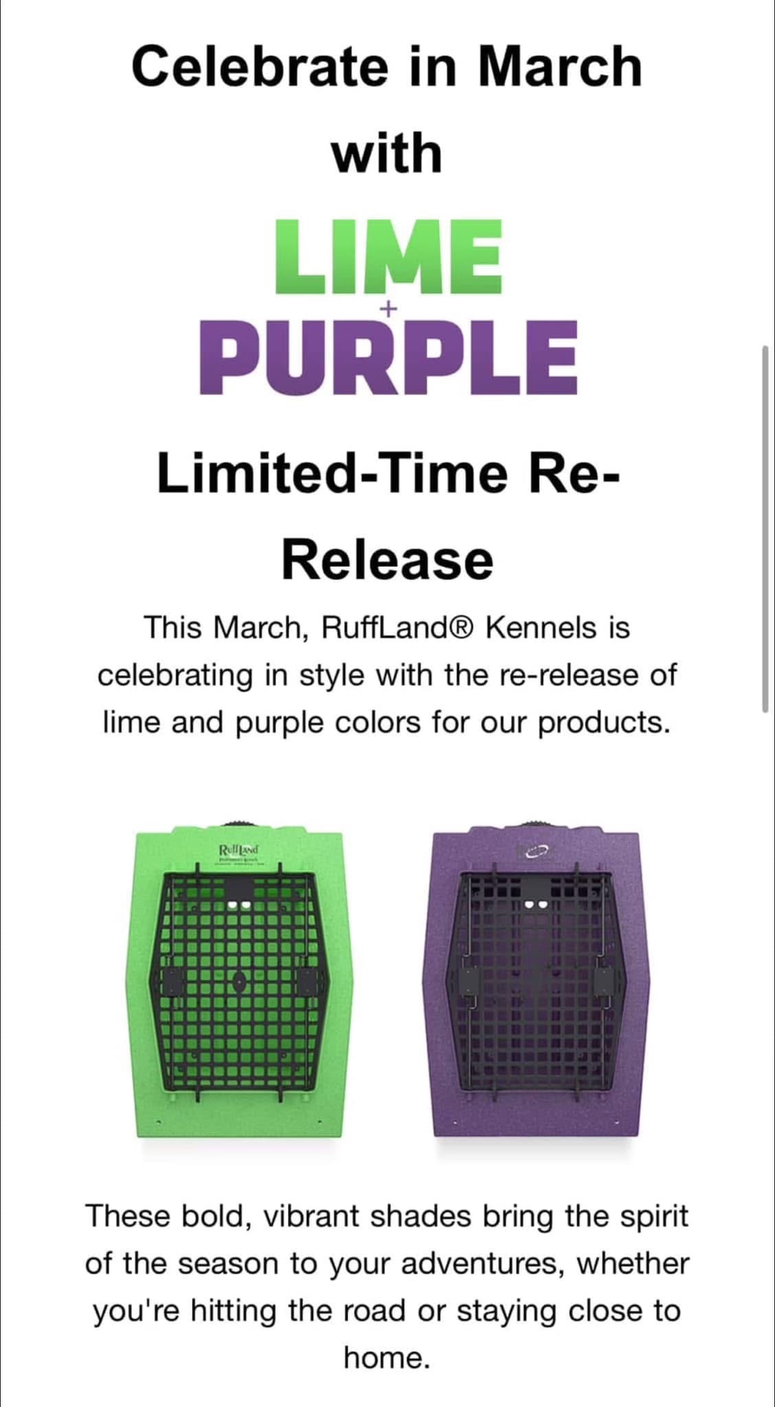 SMALL-LIMITED EDITION COLORS