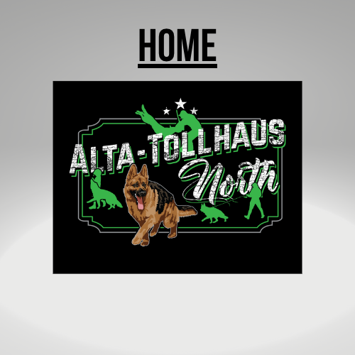 Home page