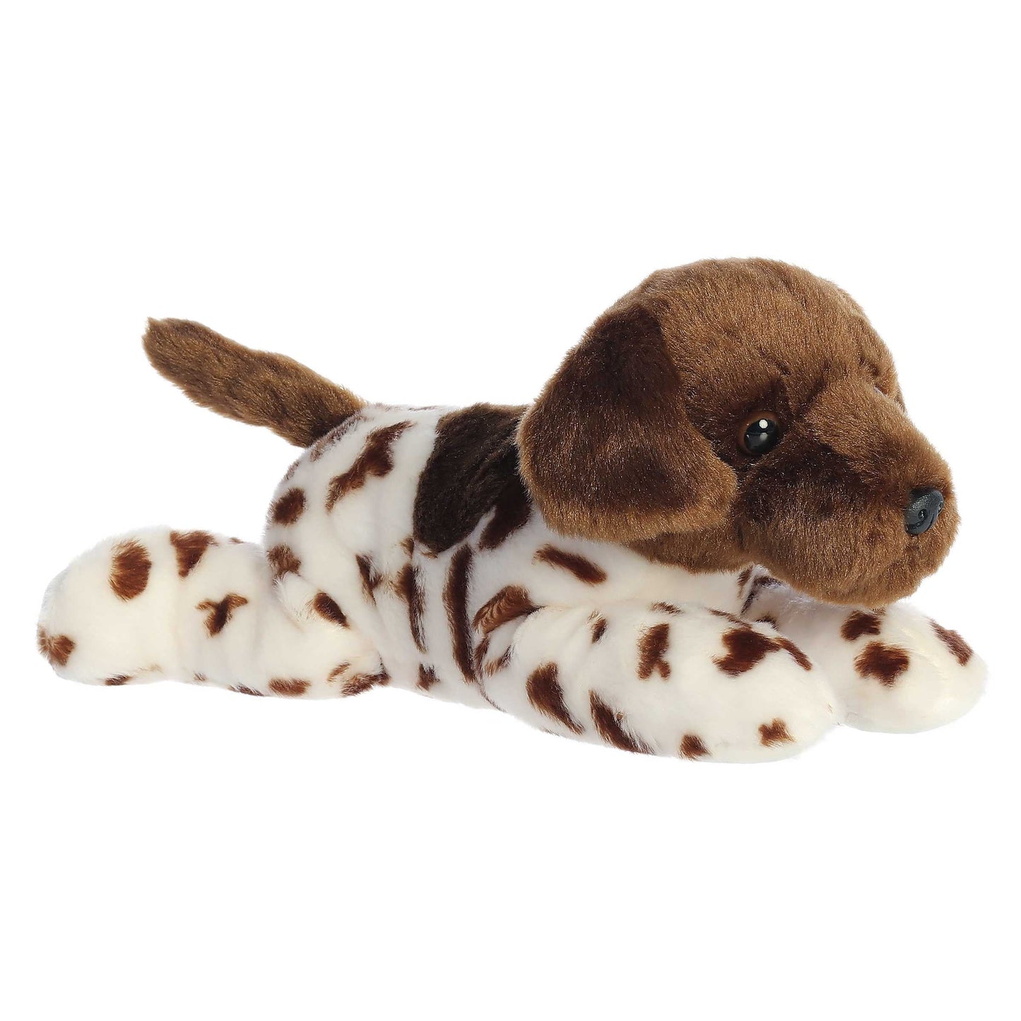Parker's Pals- Dog