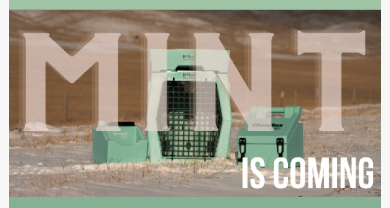 Green toolboxes with 'MINT IS COMING' text in a desert-like setting