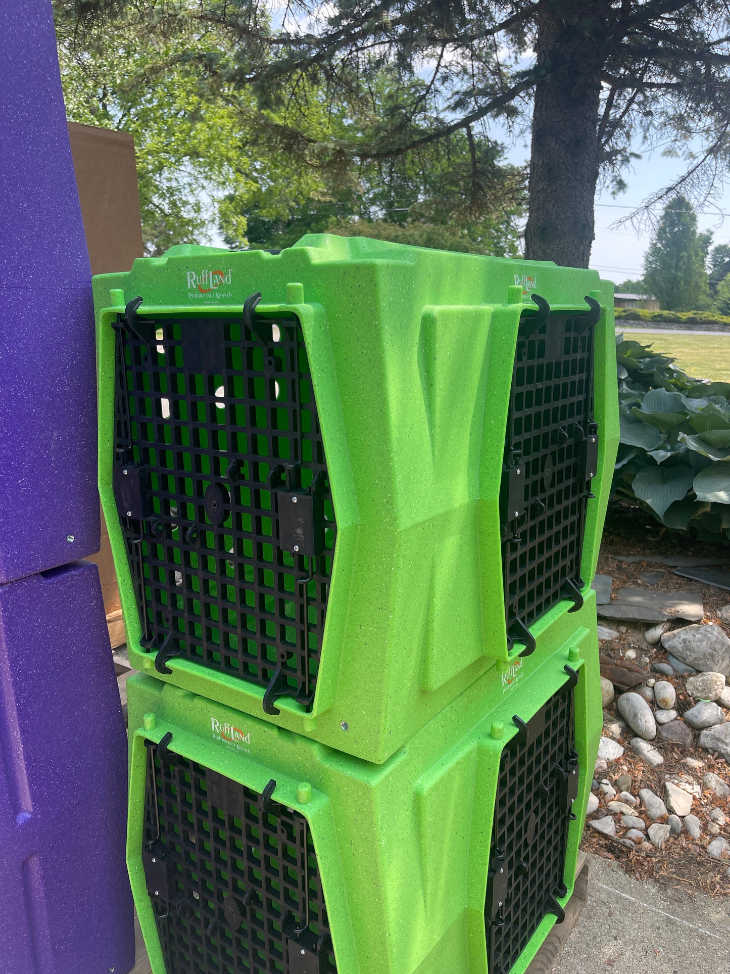 INTERMEDIATE-Lime Kennel