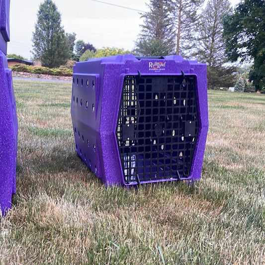 INTERMEDIATE-Purple Kennel