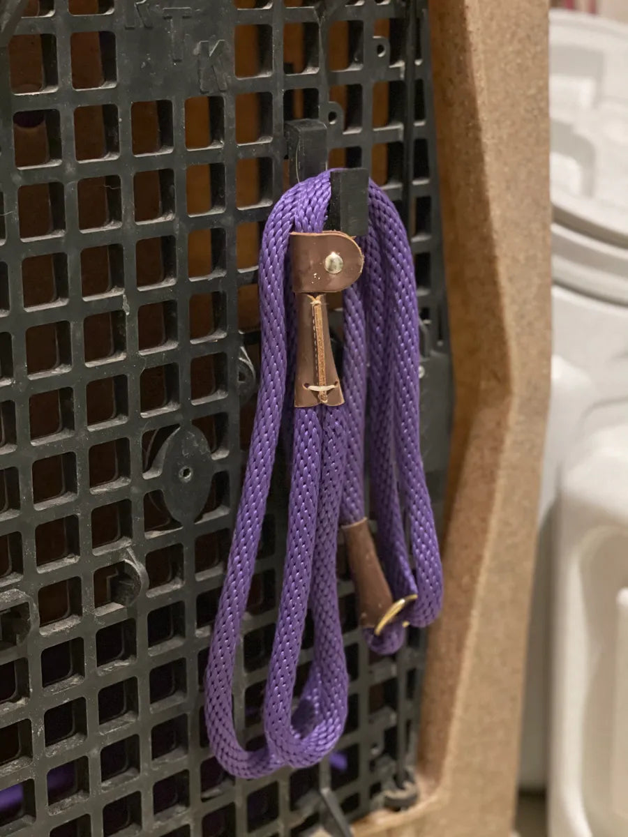 Leash/ Gear Hook